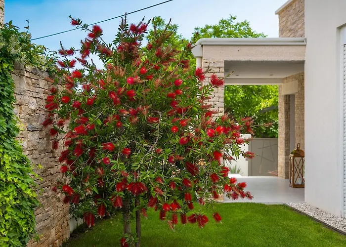 Villa Bella- White *