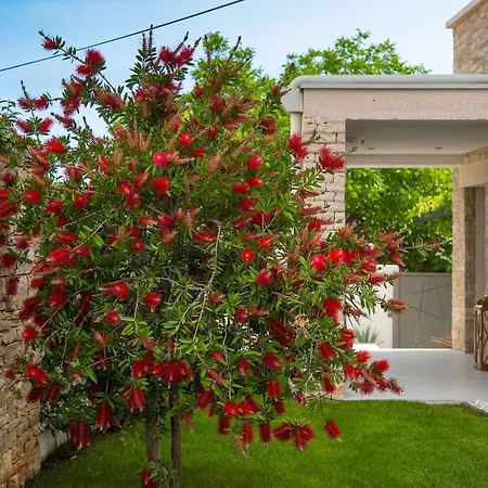 Βίλα Bella- White *